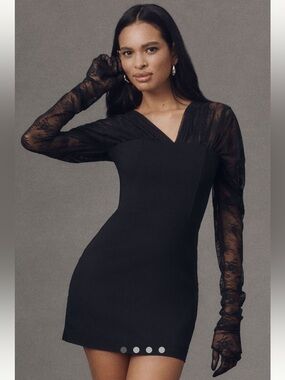 Endless Rose Black Lace-Sleeve V-Neck Mini Dress